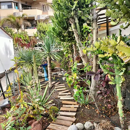 Apartament Diamar Corralejo