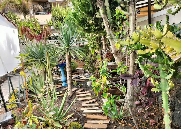 아파트 Diamar 코라레호